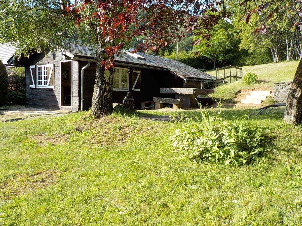 Chalet Des Cascades Le Mont-Dore Exterior foto
