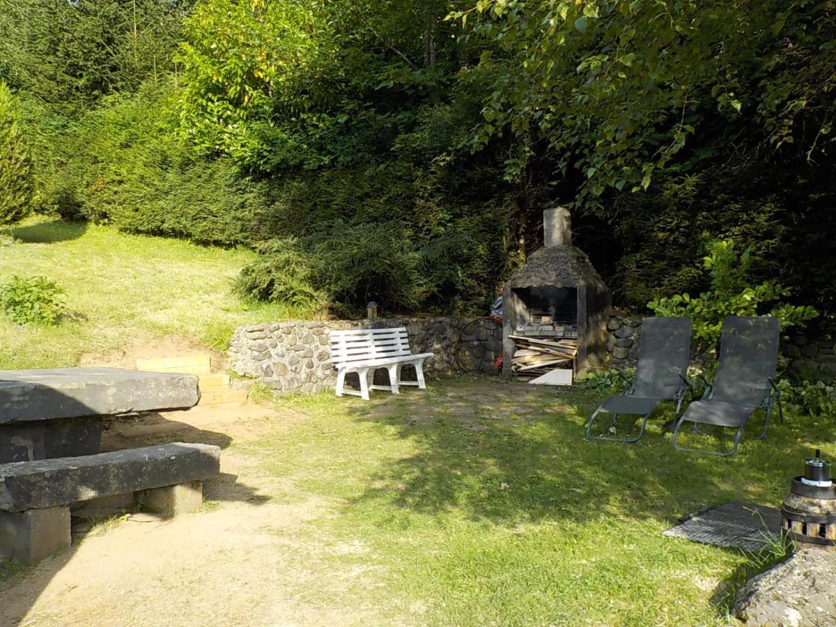 Chalet Des Cascades Le Mont-Dore Exterior foto