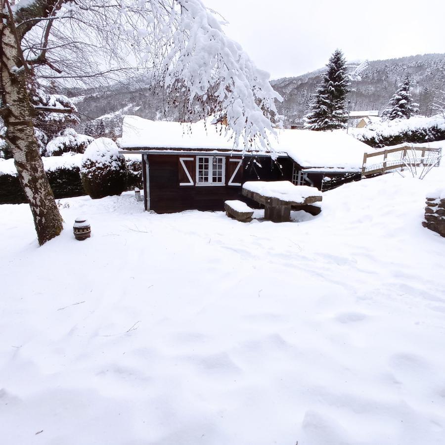 Chalet Des Cascades Le Mont-Dore Exterior foto