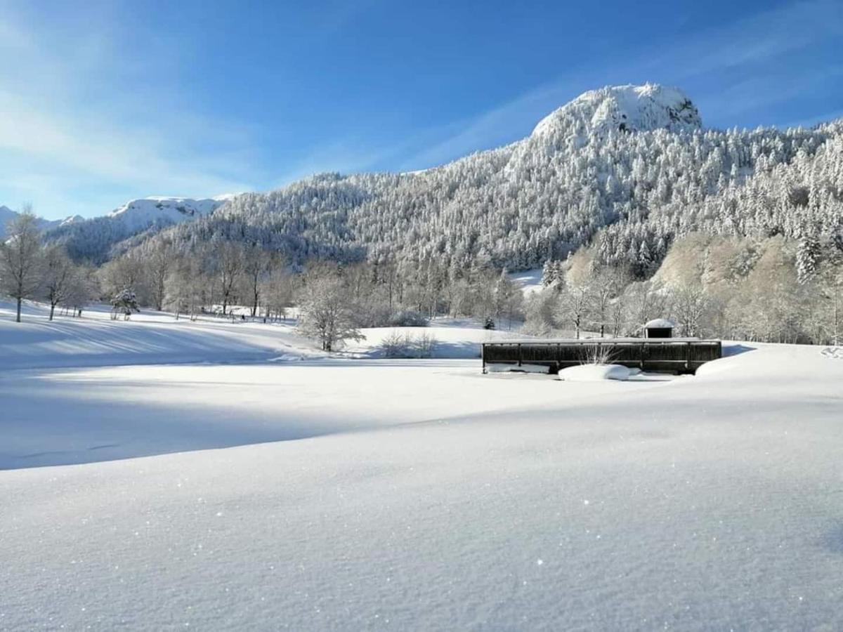 Chalet Des Cascades Le Mont-Dore Exterior foto